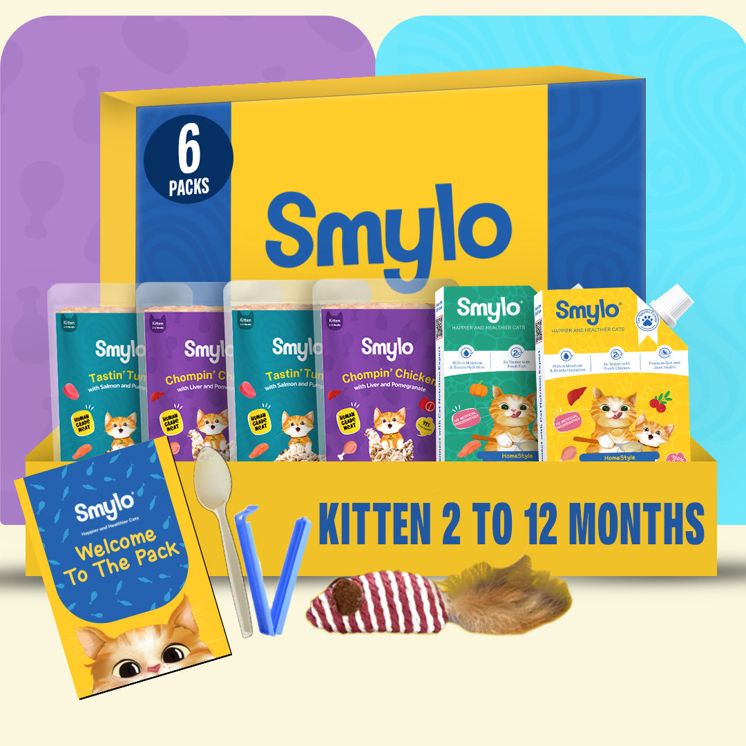 Kitten Trial Box (Pack of 4) with 2 Broths