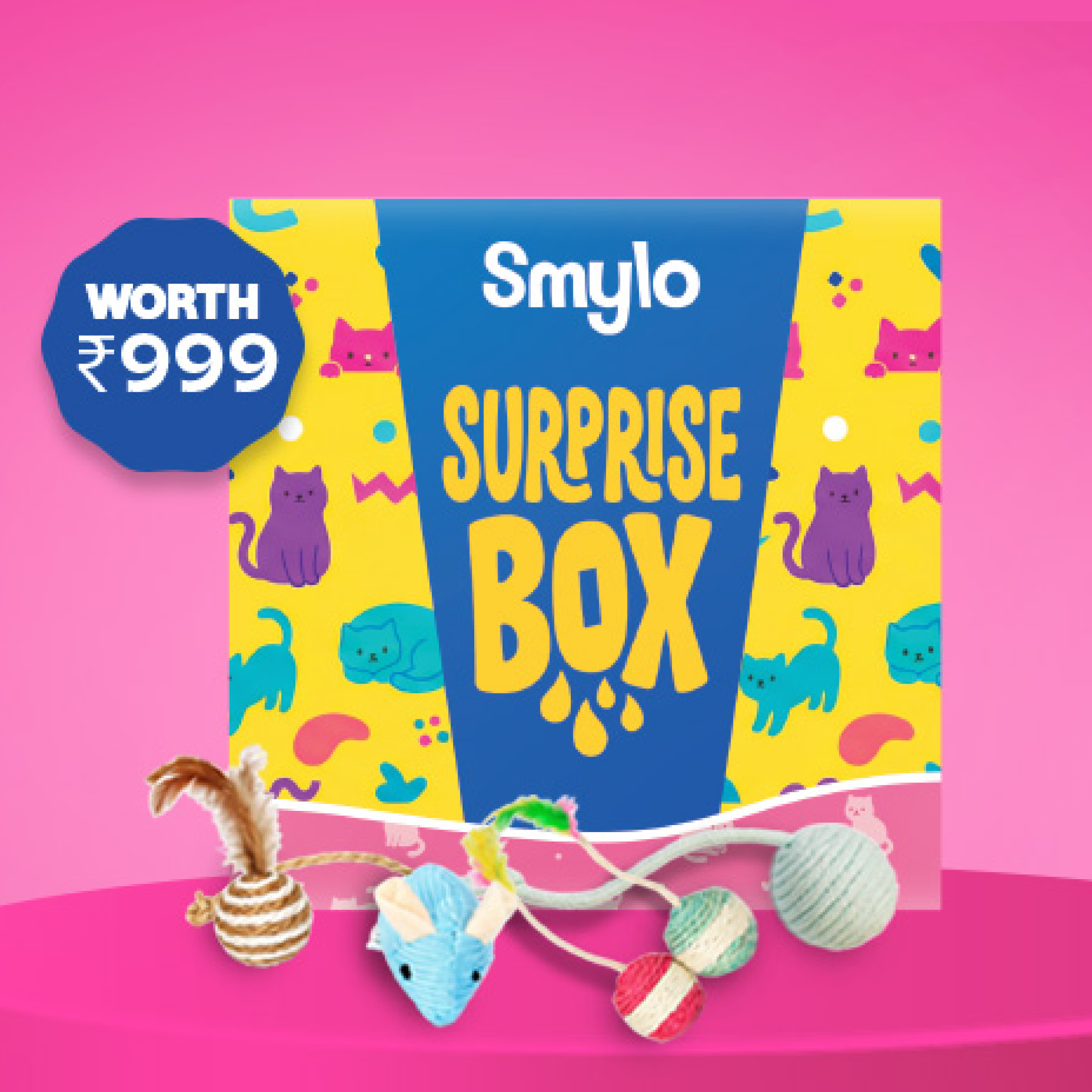 Smylo Surprise Box — Worth ₹999🎁